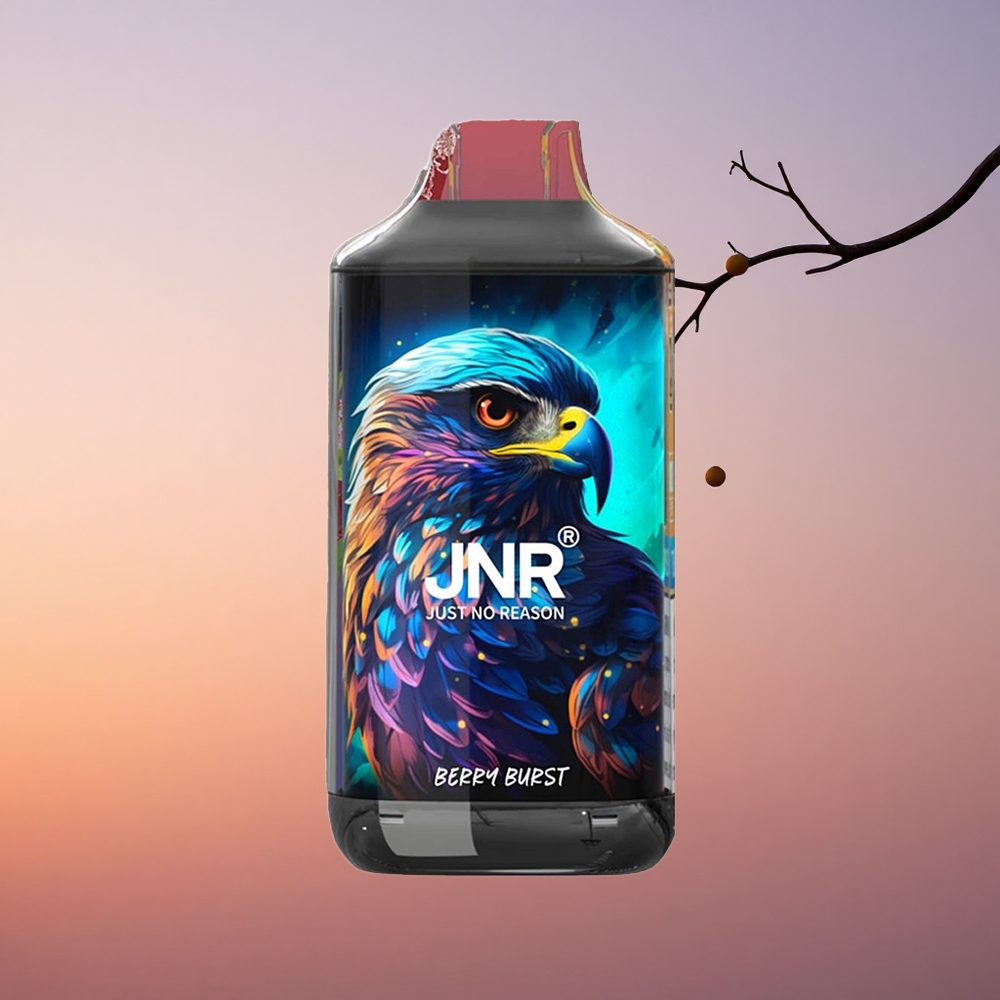 JNR Falcon 16000 Jagodni Prasak 850mAh Dual Mesh