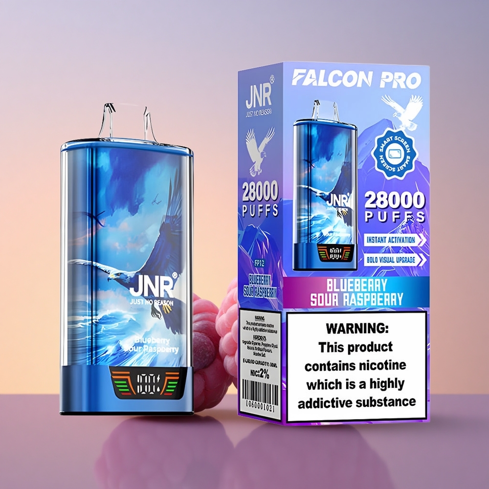 JNR Falcon Pro 28000 Borovnica Kisla Malina Dual Mesh 30ml USB Type-C