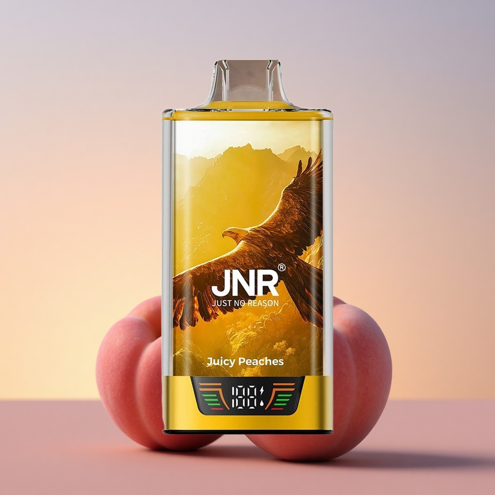JNR Falcon Pro 28000 Sočne Breskve z Dvojno Mrežno Tuljavo, 30ml, USB Type-C