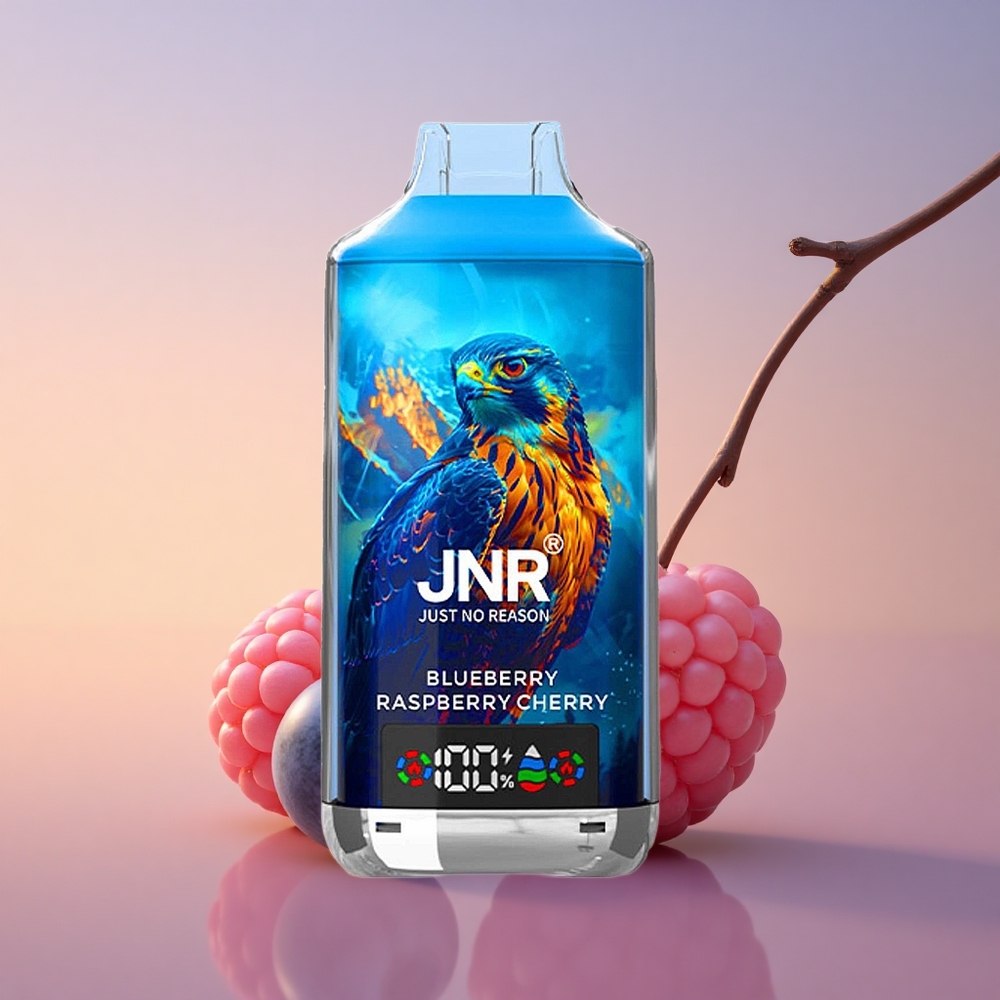 JNR Falcon X 18000 Borova Malina Češnja Dual Mesh Digitalni Prikaz Tip-C Hitro Polnjenje