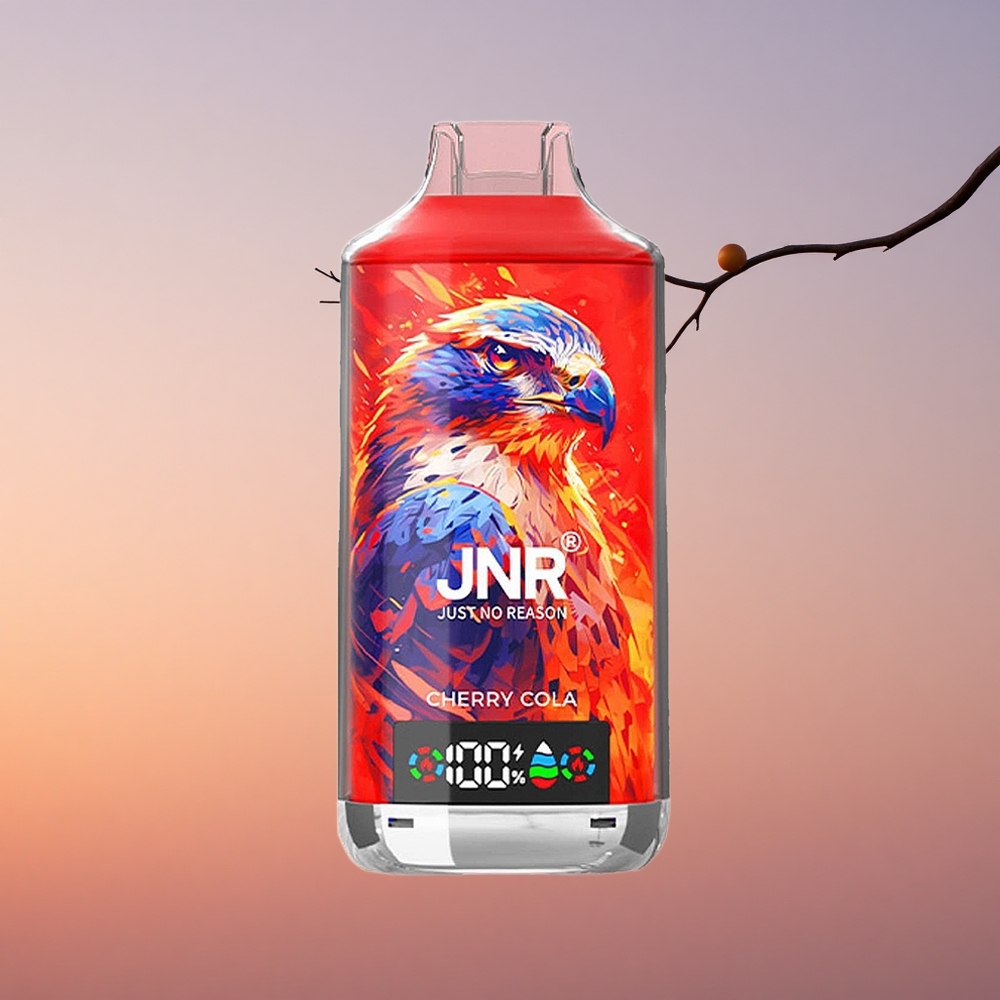 JNR Falcon X 18000 Češnjev Razlog 24ml Dual Mesh Digital Type-C