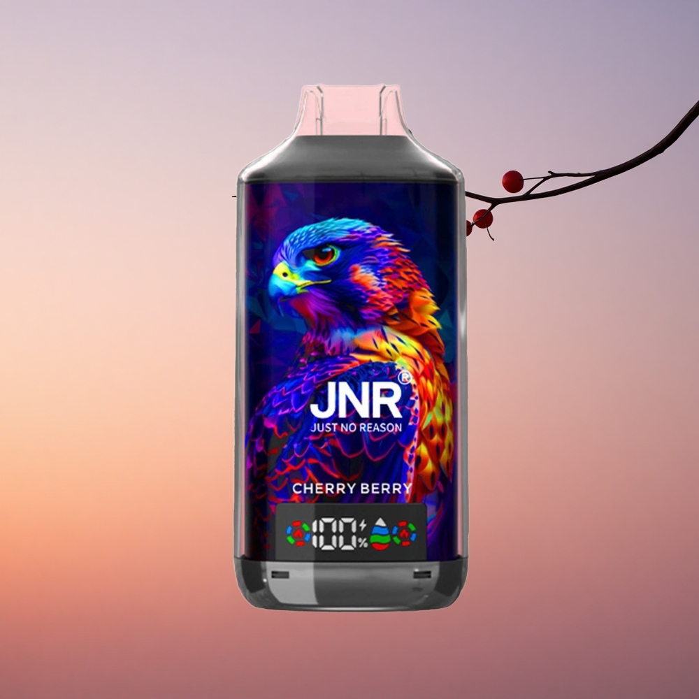 JNR Falcon X 18000 Češnjeva Jagoda Dual Mesh 24ml Type-C
