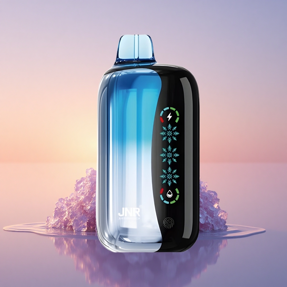 JNR Flex Ice 21000 Borovnični Led z Nastavljivo Močjo in Dvojno Mrežo