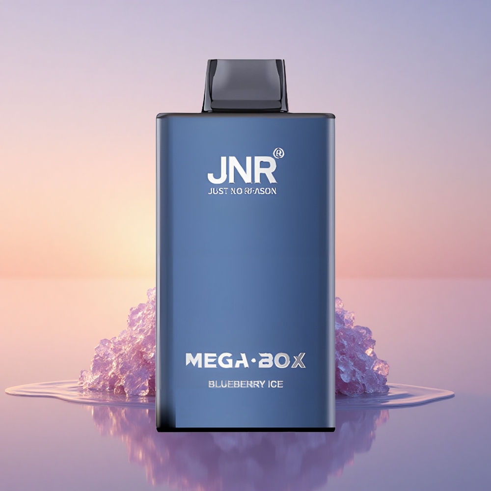 JNR Mega Box 25000 Borovični Led z Dvojnim Jedrom in Hitrim Polnjenjem