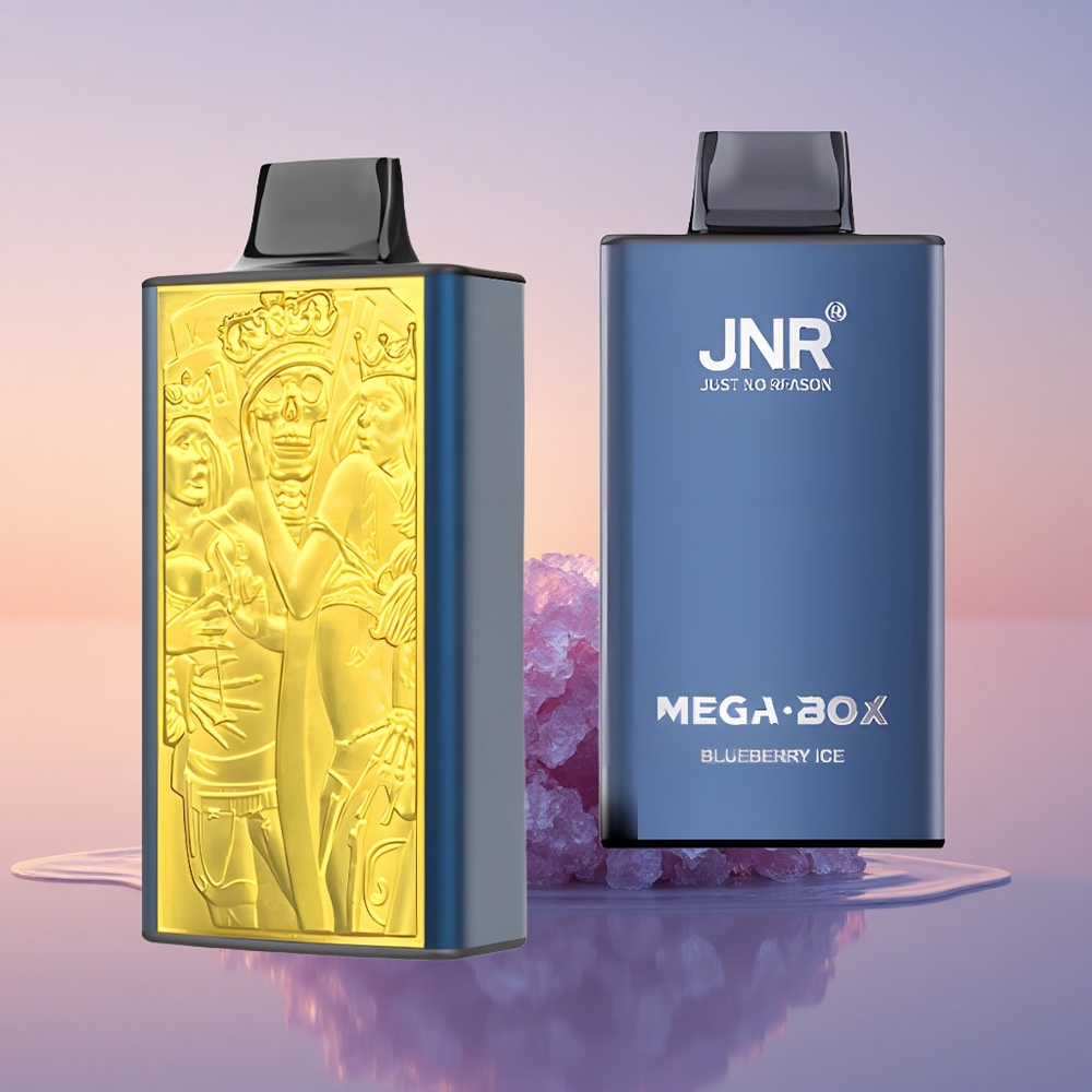 JNR Mega Box 25000 Borovični Led z Dvojnim Jedrom in Hitrim Polnjenjem