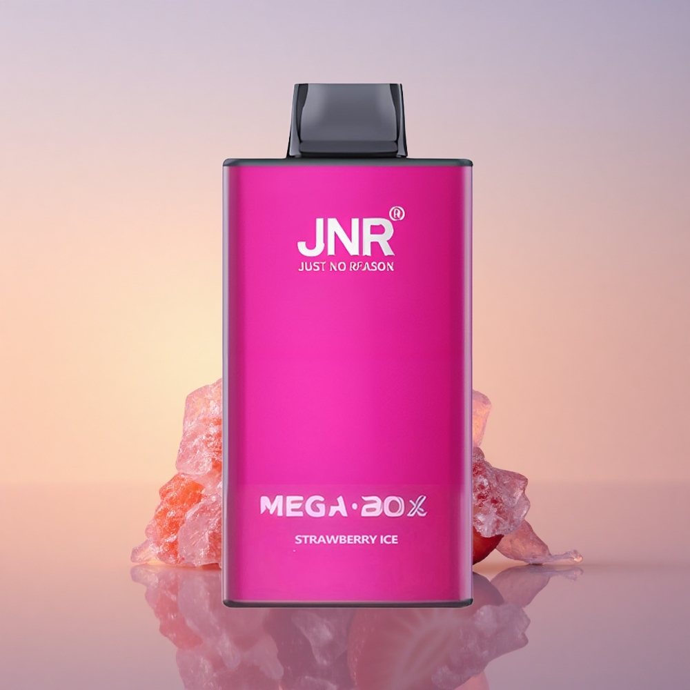 JNR Mega Box 25000 Jagodni Led z Dvojno Mrežo in Hitrim Polnjenjem Type-C