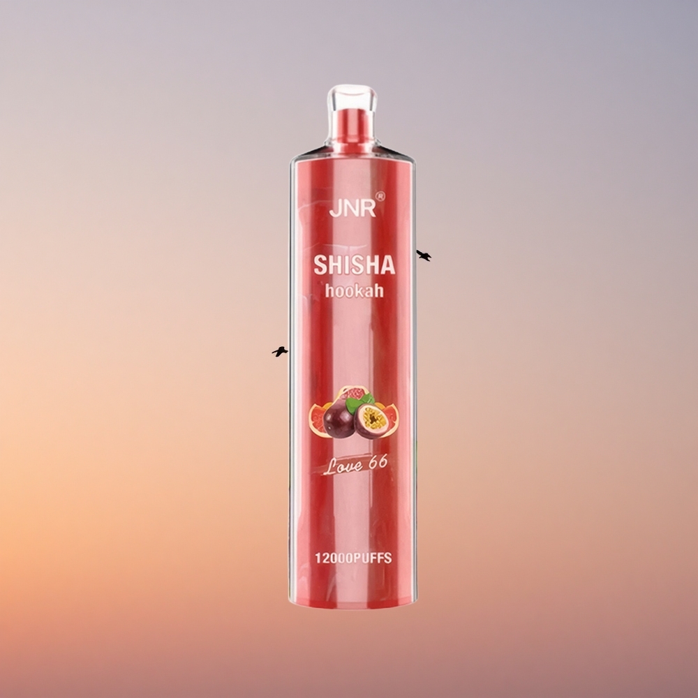 JNR Shisha Hookah 12000 Ljubezen 66 24ml 0.6 Ohm