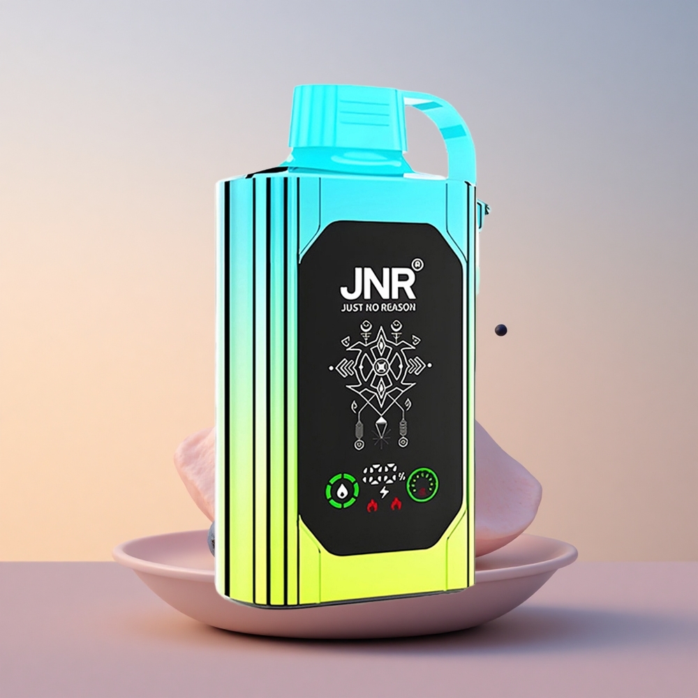 JNR Shisha Hookah Box 20500 Borovnična Meta z Dvojnim Omrežjem in Hitrim Polnjenjem Type-C