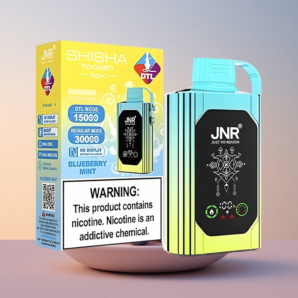 JNR Shisha Hookah Box 20500 Borovnična Meta z Dvojnim Omrežjem in Hitrim Polnjenjem Type-C