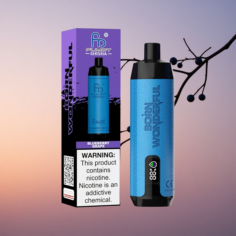 RandM Fumot Shisha 10000 Puffs Borovničeva Grozdna 18ml 0.6ohm Mreža