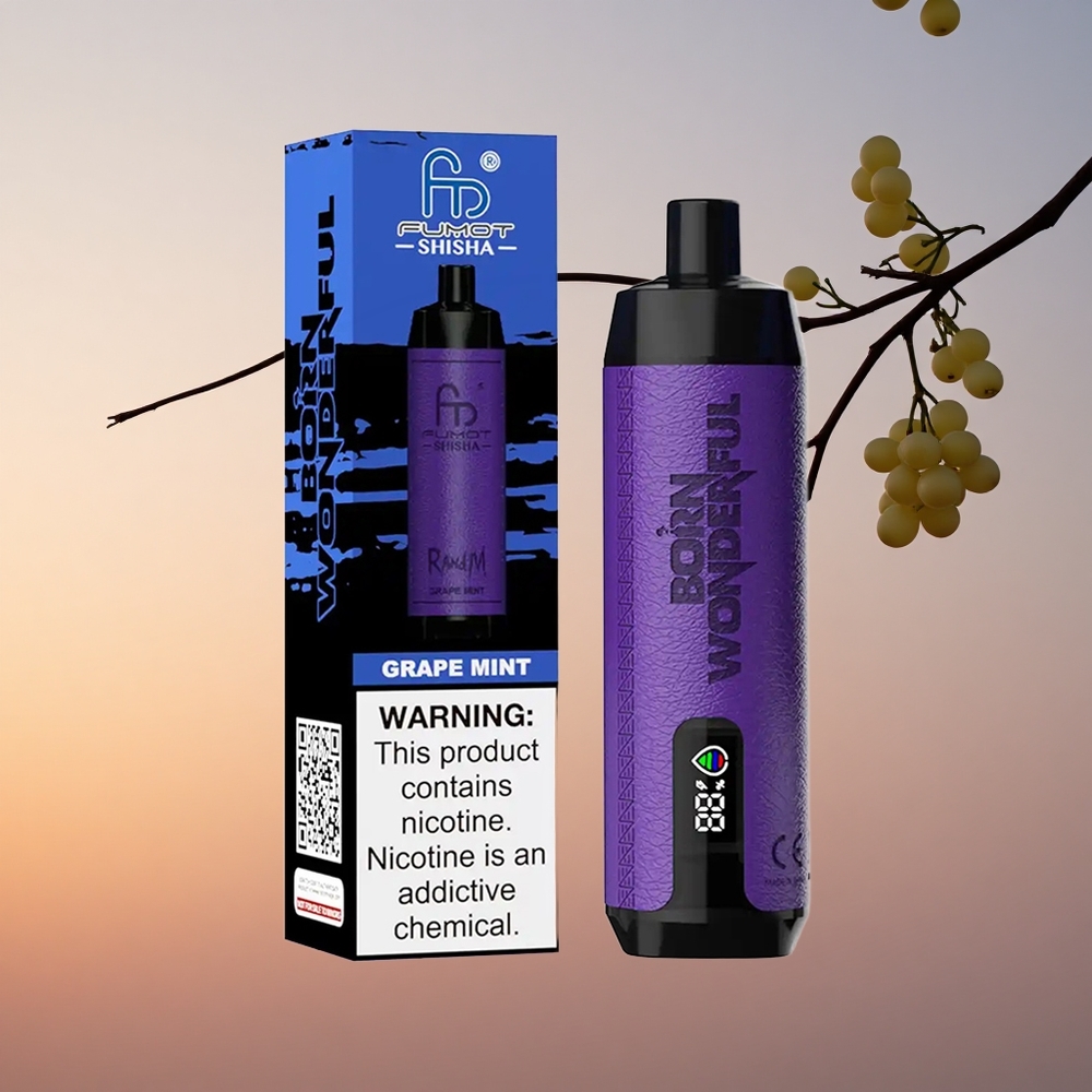 RandM Fumot Shisha 10000 Puffs Grozdova Meta z LED Indikatorjem in 0,6ohm Mesh Tuljavo