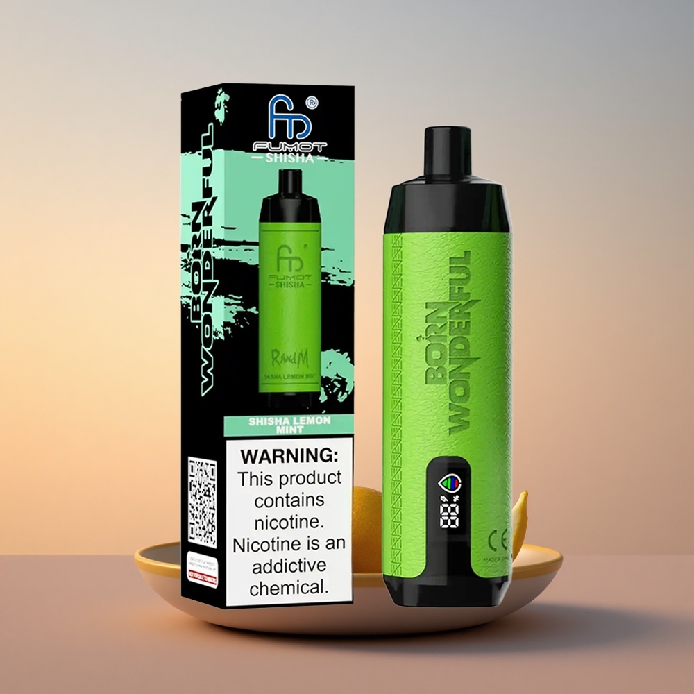 RandM Fumot Shisha 10000 Puffs Limeta Menta z E-tekočino 18ml LED Indikator